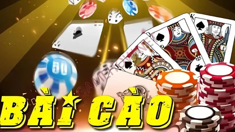 bai-cao-w365-dai-dien