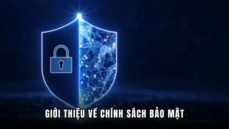 Chính sách bảo mật - Quy định quan trọng tại W365