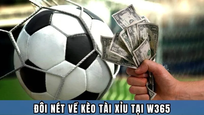 Đôi nét về kèo tài xỉu tại W365