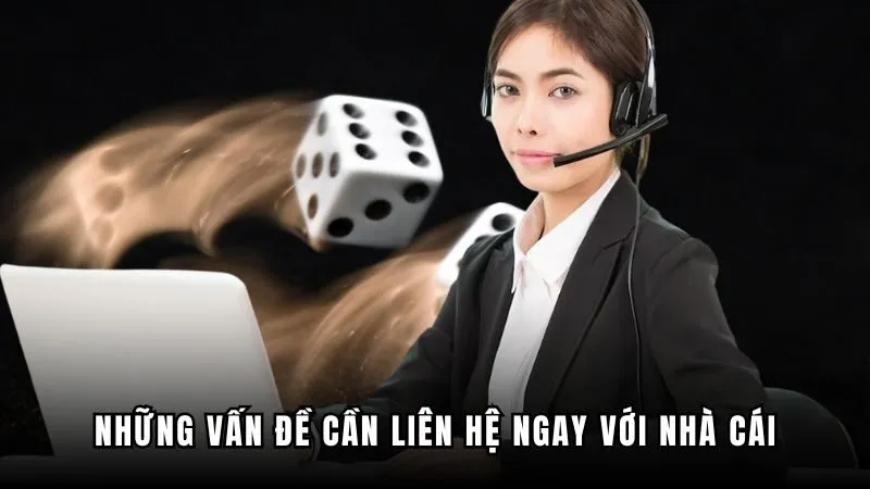 Lý do mà hội viên nên liên hệ W365