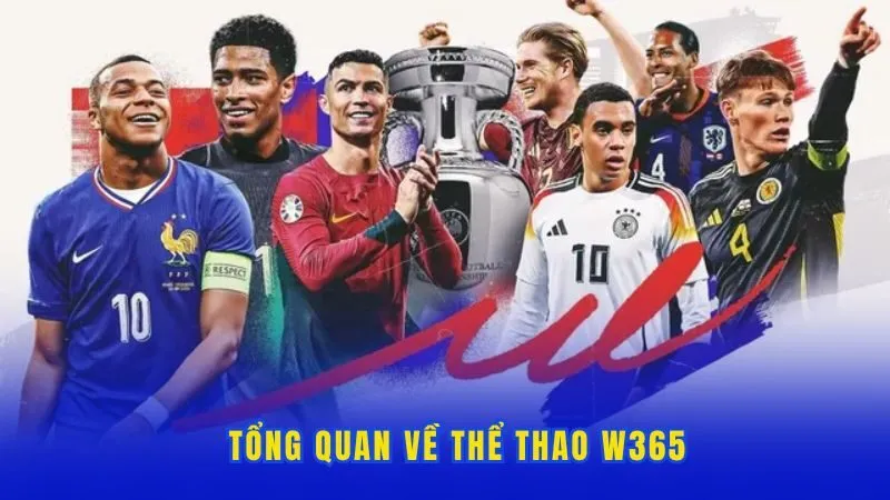 Thông tin giới thiệu về sảnh thể thao W365